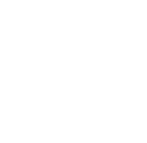 budowa